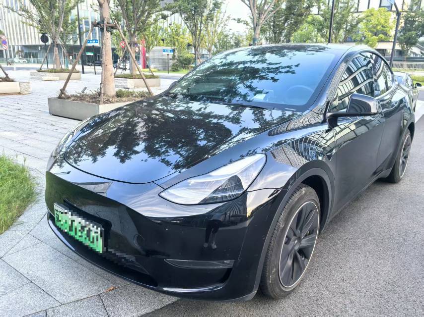 Tesla Model Y 2021 Tesla Model Y 2021 car image