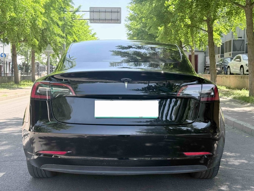 Tesla Model 3 2021 #9 Tesla Model 3 2021 immagine di auto #9
