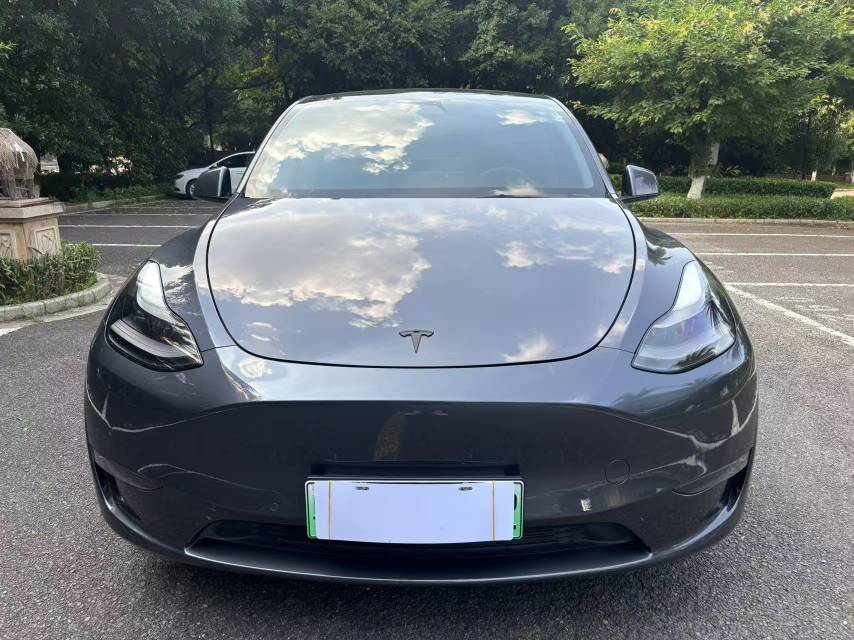 Tesla Model Y 2021 #2 Tesla Model Y 2021 car image #2