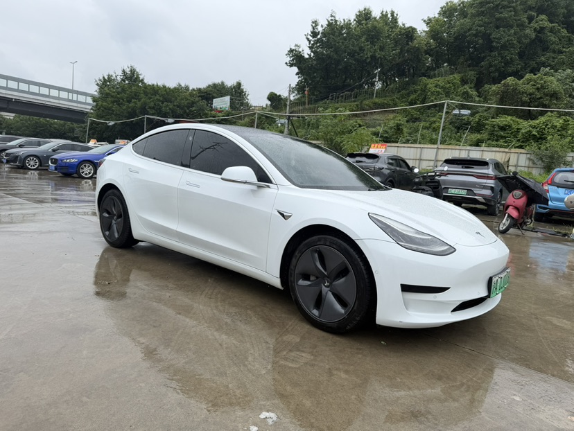 Tesla Model 3 2020 immagine di auto #2