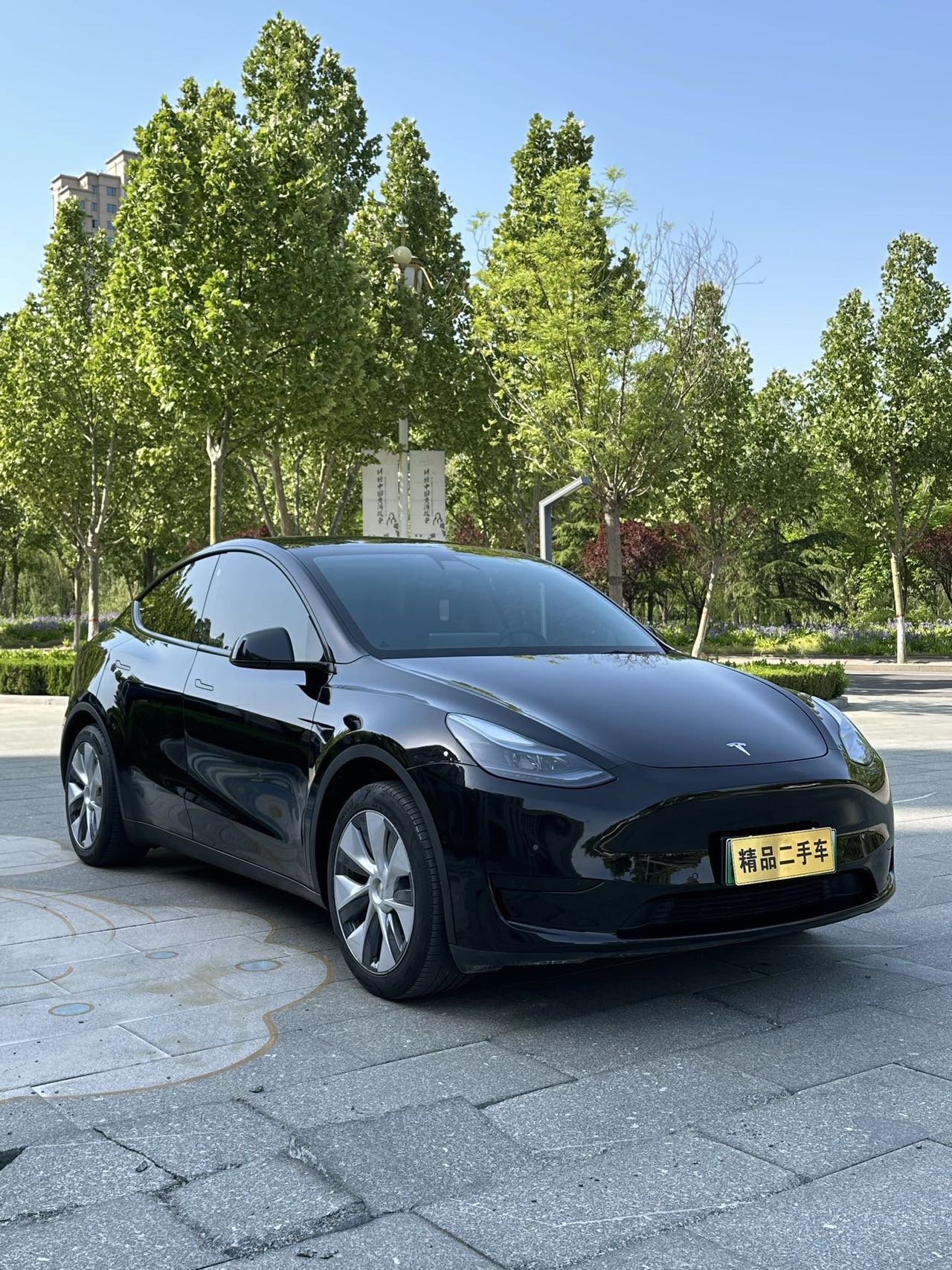 Tesla Model Y 2023 #3 Tesla Model Y 2023 car image #3