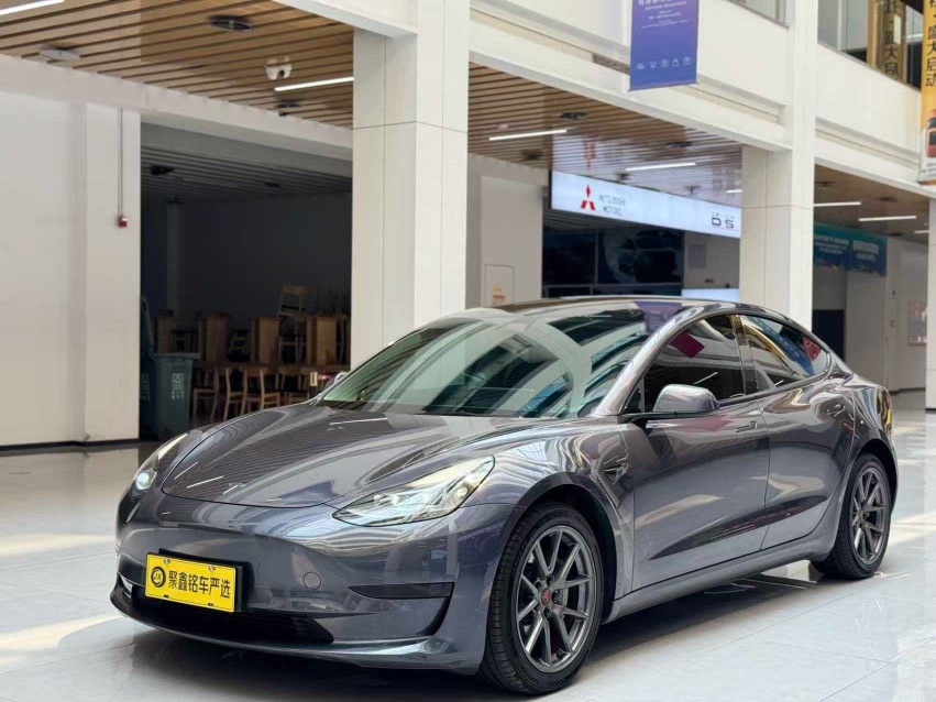 Tesla Model 3 2021 Tesla Model 3 2021 car image