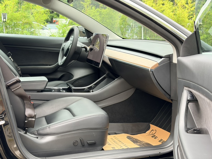 Tesla Model 3 2020 car image #8