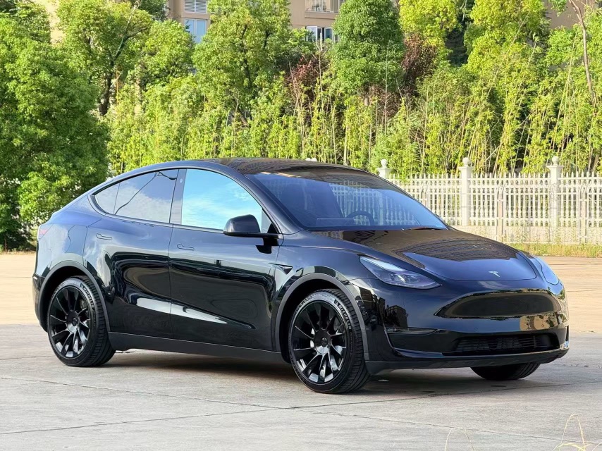 Tesla Model Y 2021 car image #3