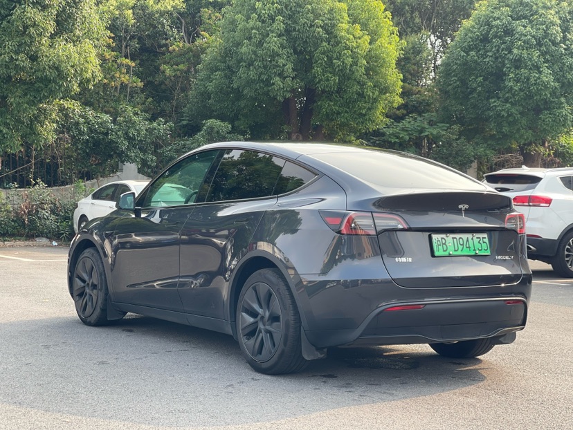 Tesla Model Y 2024 car image #9