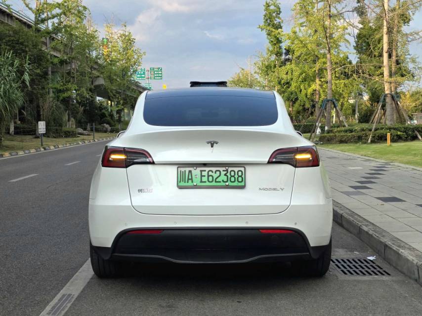 Tesla Model Y 2021 #9 Tesla Model Y 2021 car image #9