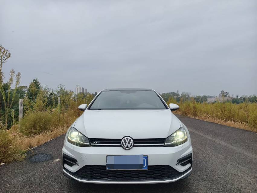 Volkswagen Golf 2019 car image 