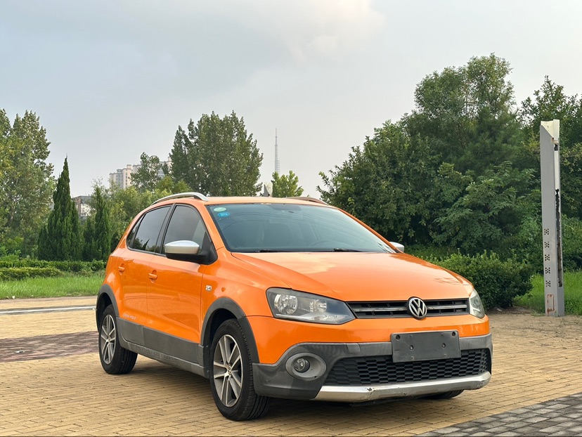 Volkswagen Polo 2013 car image #3