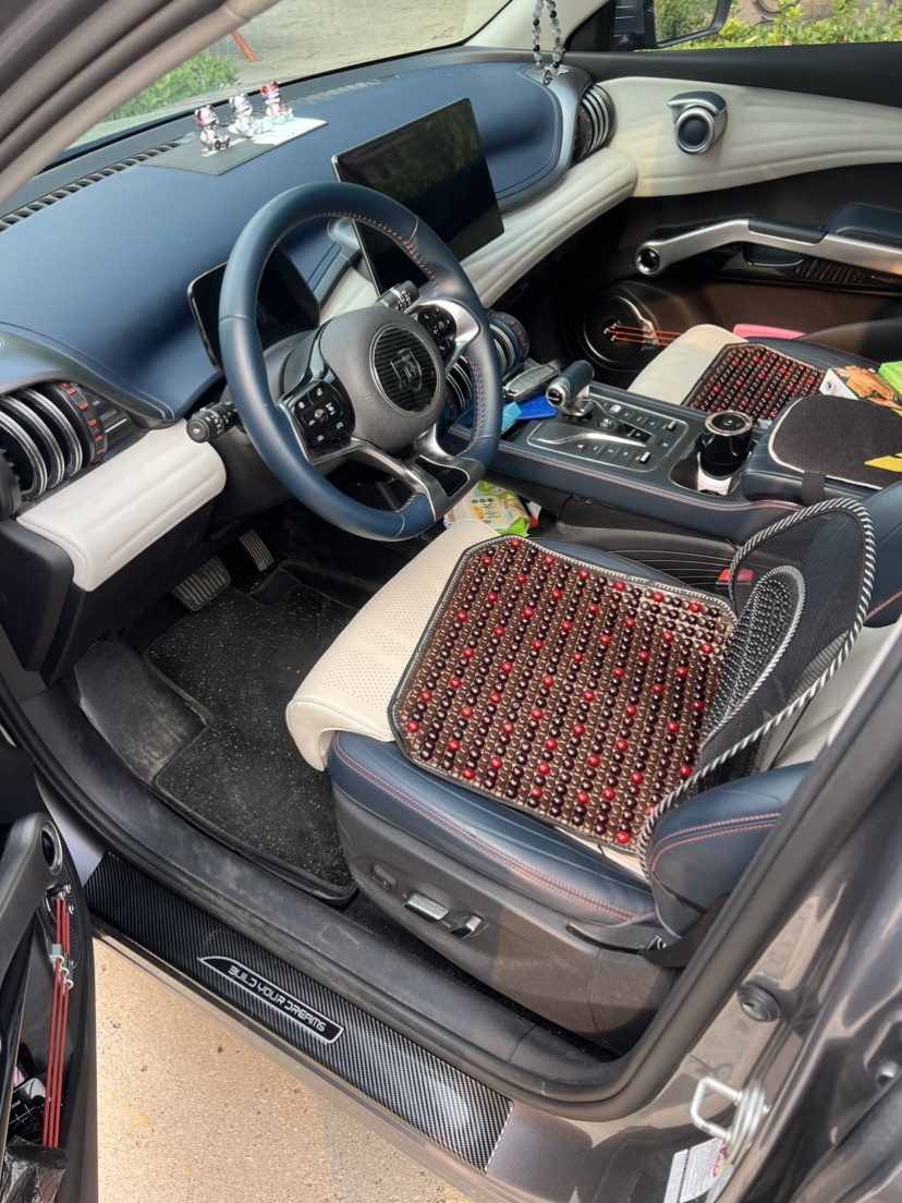 BYD Yuan Plus 2023 car image #4