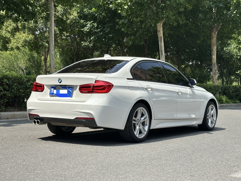 BMW 3 Series 2019 car image #5