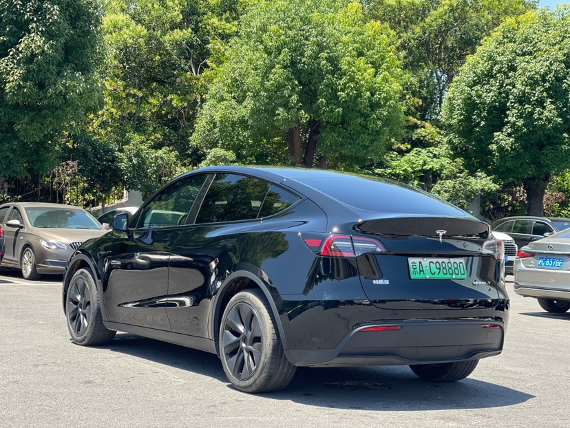 Tesla Model Y 2024 car image #7