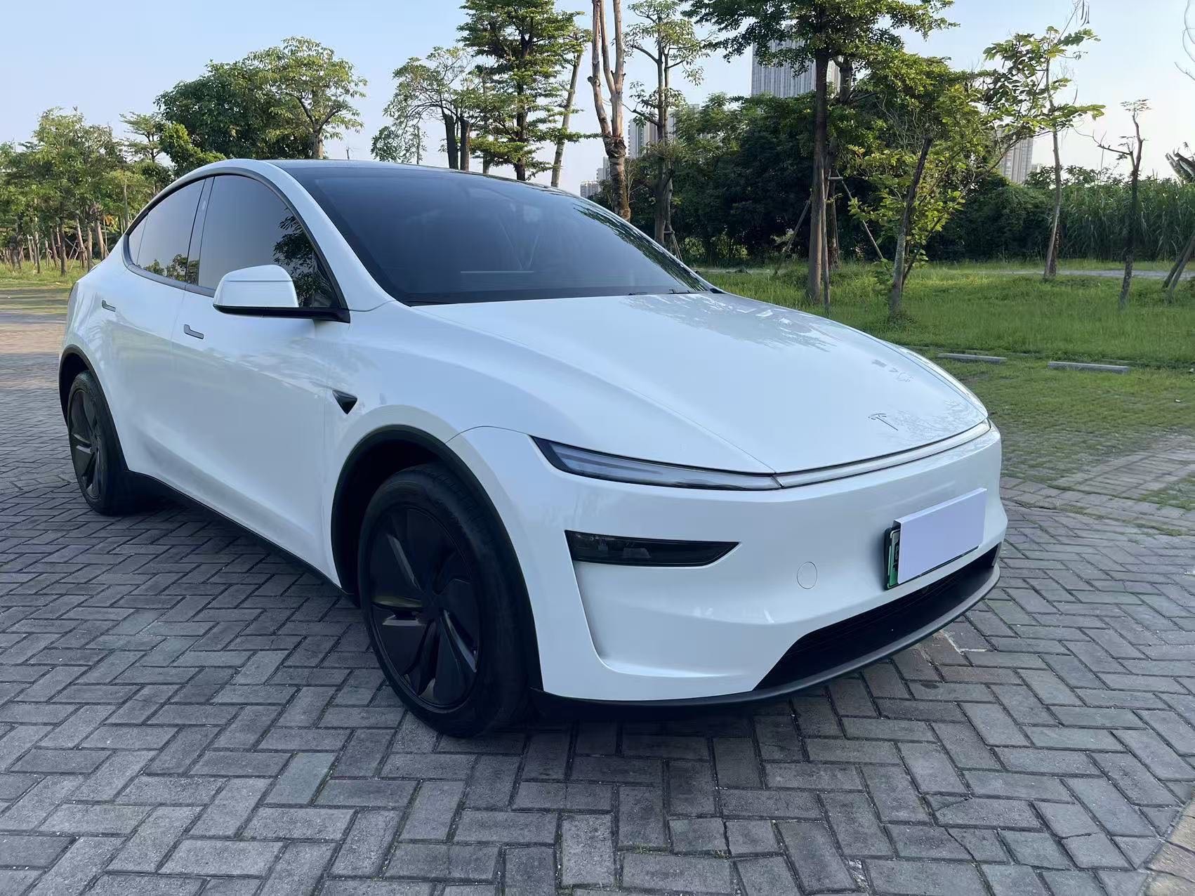 Tesla Model Y 2025 car image #2