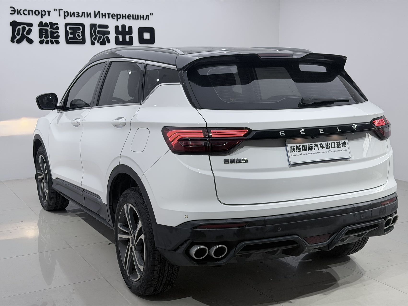 GEELY Coolray 2021 car image #6
