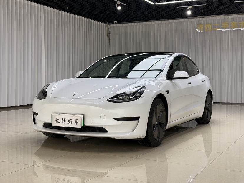 Tesla Model 3 2021 Tesla Model 3 2021 car image