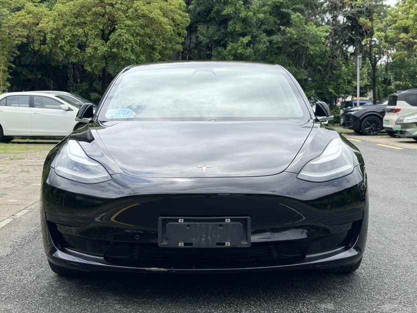 Tesla Model 3 2020 car image #2