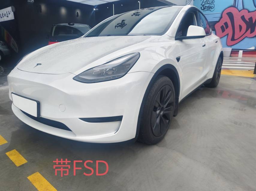 Tesla Model Y 2024 car image 