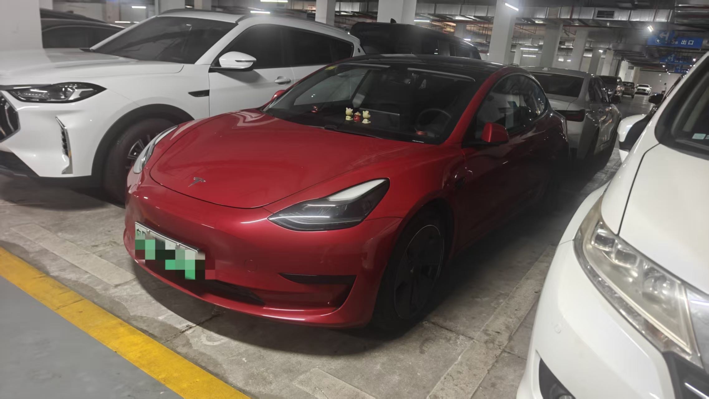 Tesla Model 3 2021 #3 Tesla Model 3 2021 car image #3