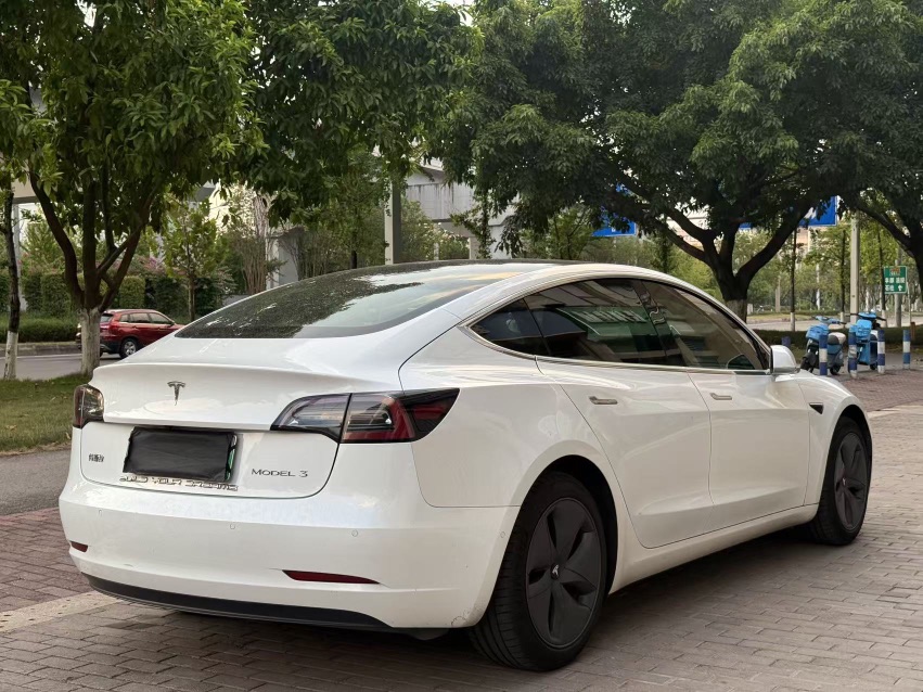 Tesla Model 3 2020 #4 Tesla Model 3 2020 car image #4