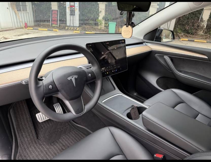 Tesla Model Y 2022 #3 Tesla Model Y 2022 car image #3