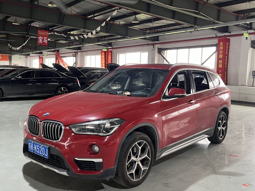 BMW X1 2019 BMW X1 2019 car image
