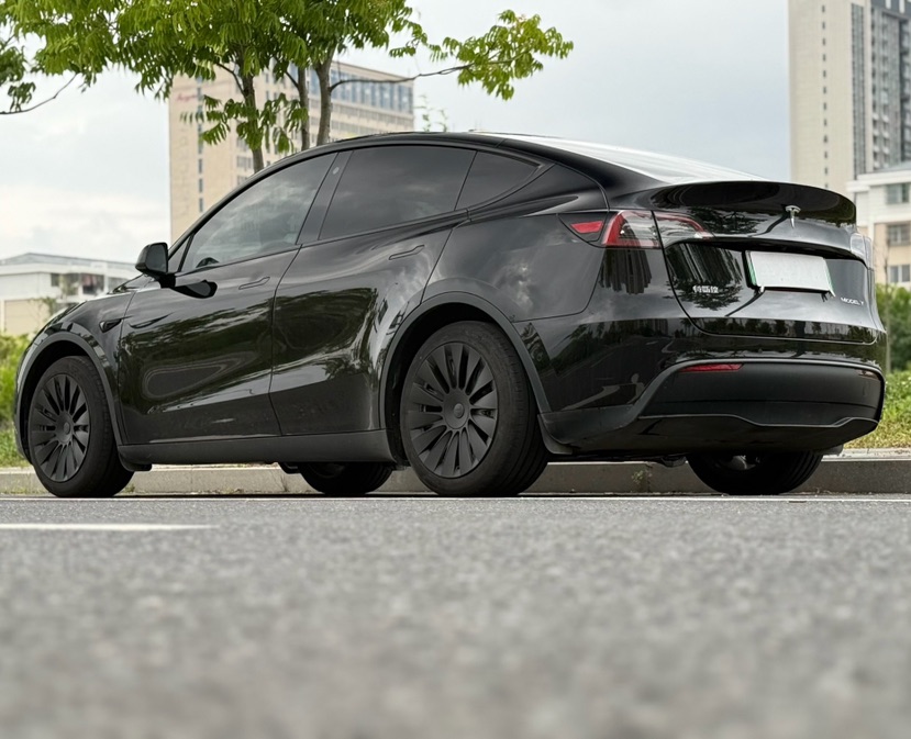 Tesla Model Y 2023 car image #7