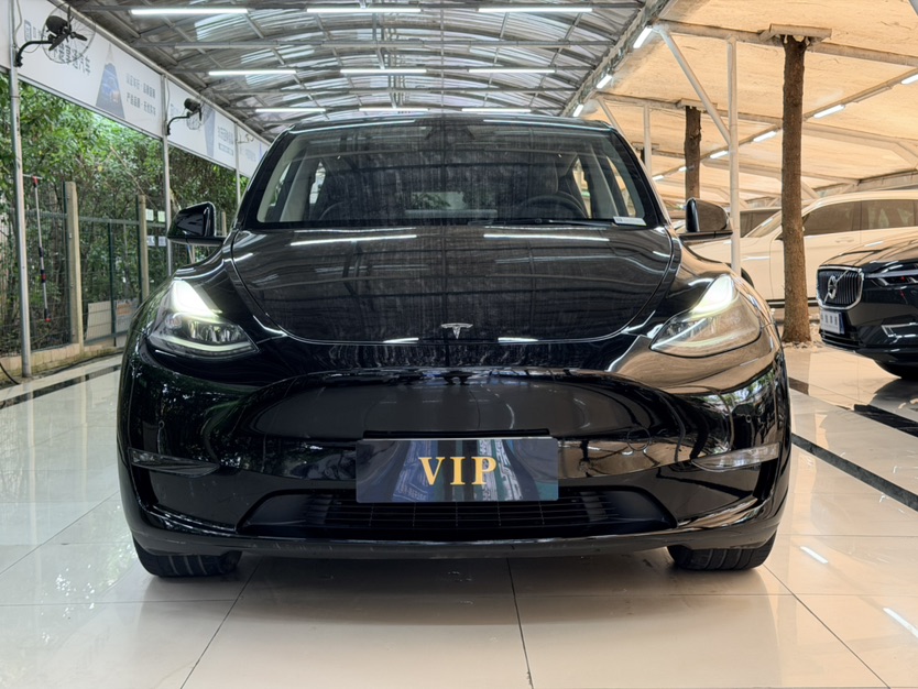 Tesla Model Y 2021 Tesla Model Y 2021 car image