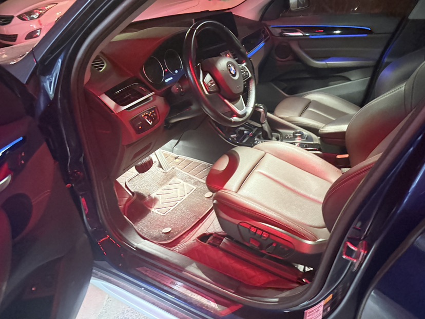 BMW X1 New Energy 2020 immagine di auto #2