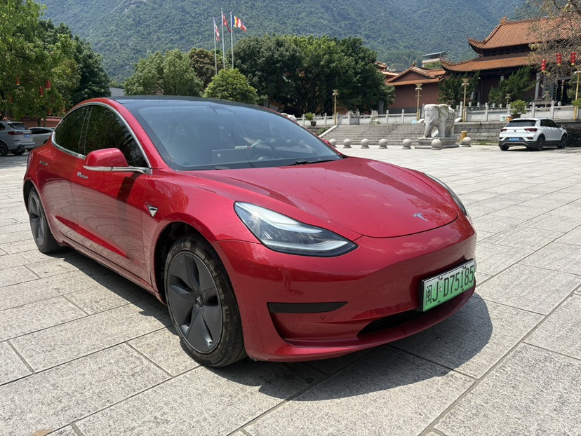 Tesla Model 3 2021 #2 Tesla Model 3 2021 car image #2