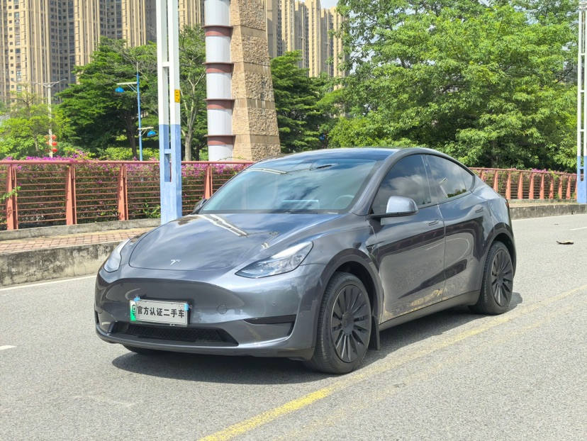 Tesla Model Y 2022 Tesla Model Y 2022 car image