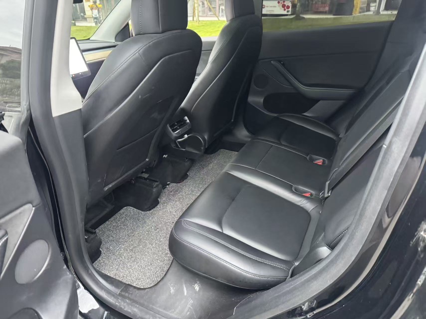 Tesla Model Y 2021 car image #6