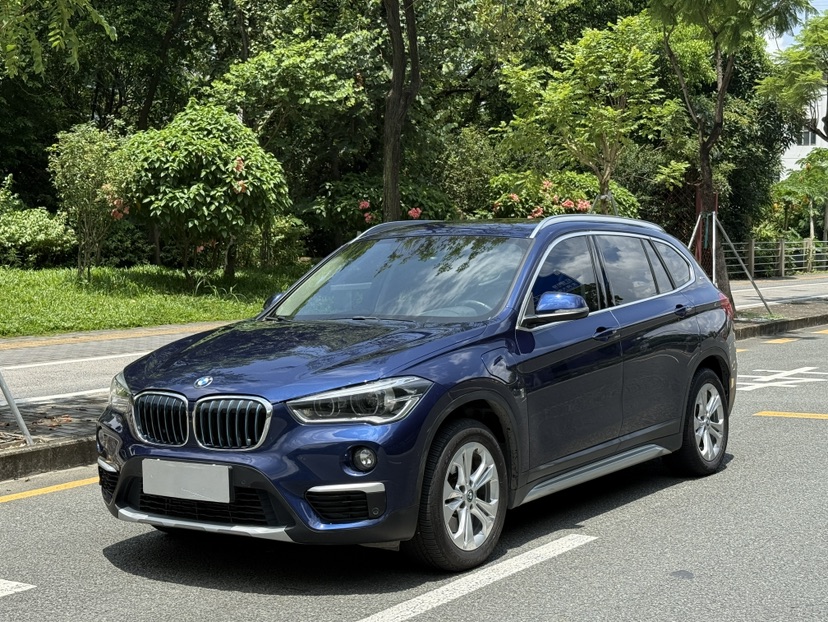 BMW X1 New Energy 2019 BMW X1 New Energy 2019 car image