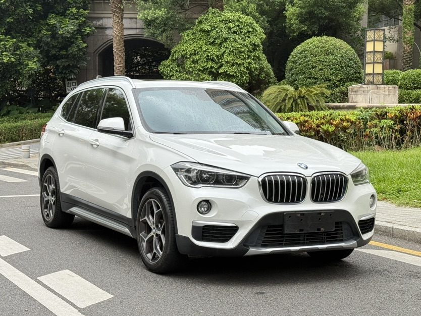 BMW X1 2019 BMW X1 2019 car image