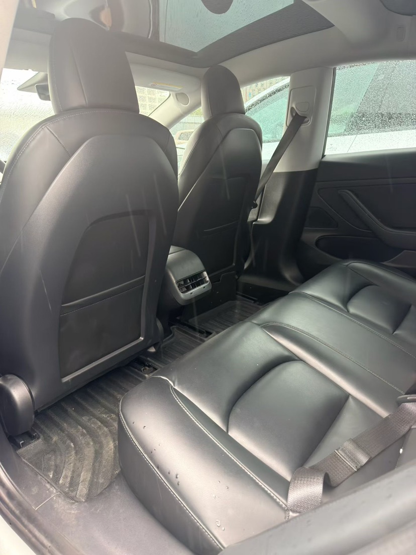 Tesla Model 3 2020 #6 Tesla Model 3 2020 car image #6