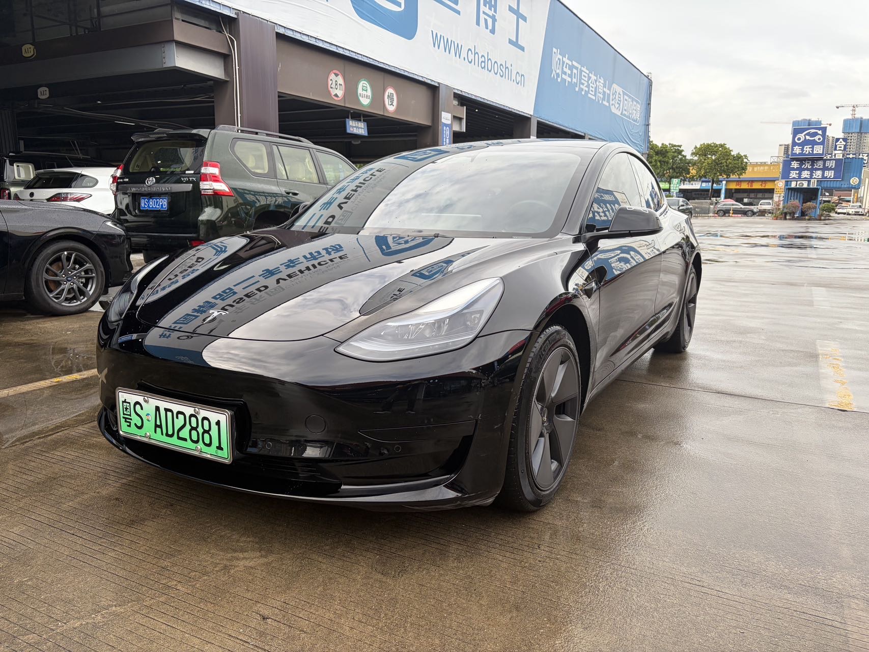 Tesla Model 3 2023 immagine di auto 