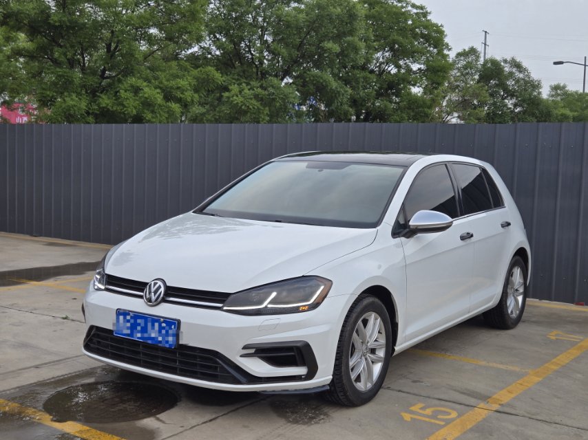 Volkswagen Golf 2019 Volkswagen Golf 2019 car image