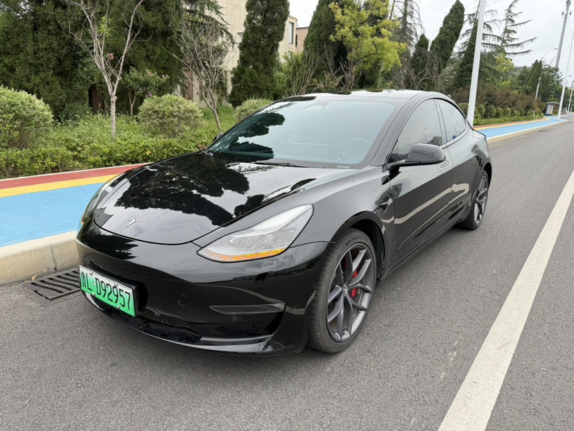 Tesla Model 3 2022 car image 