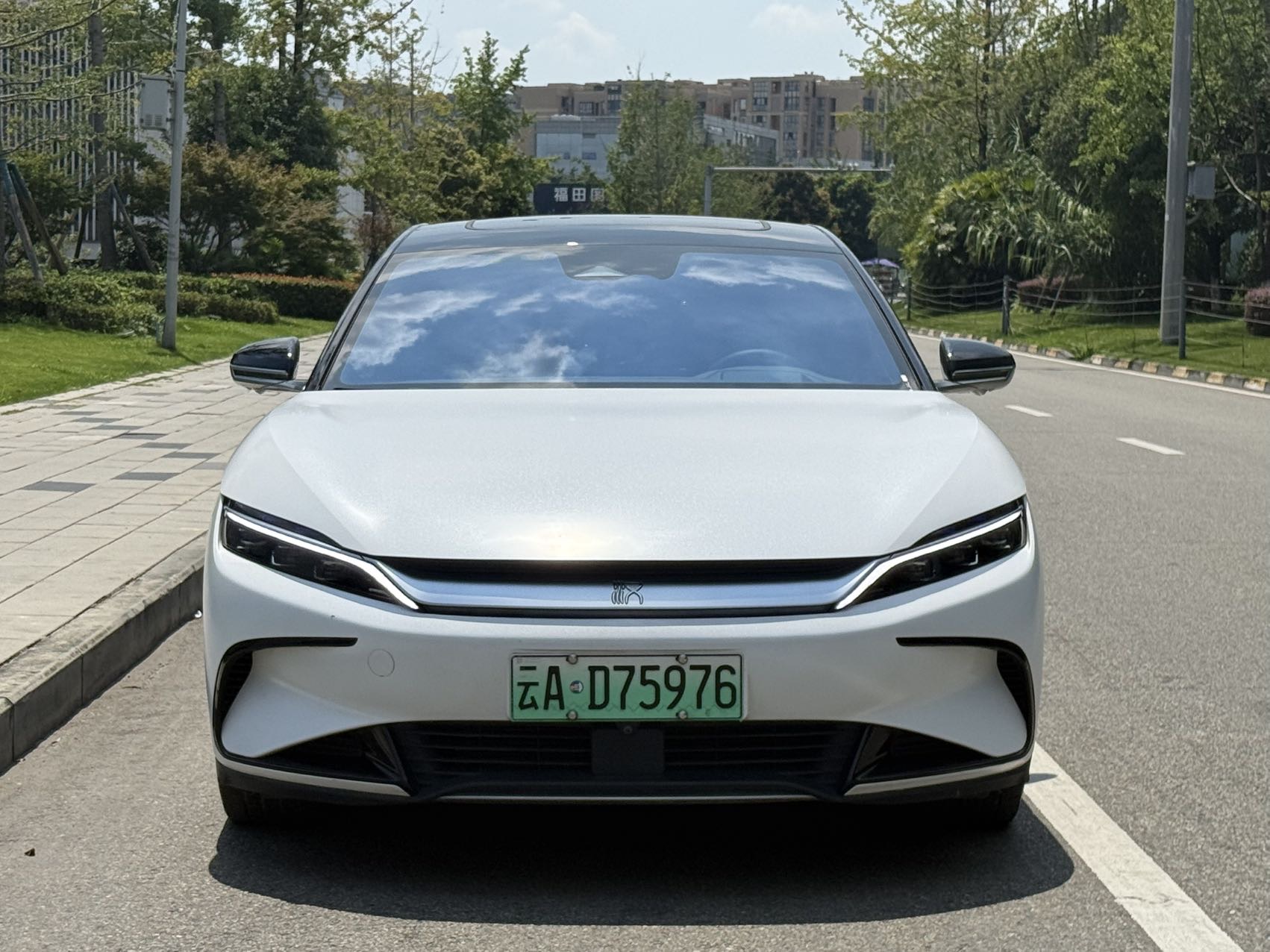 BYD Han 2022 car image #2