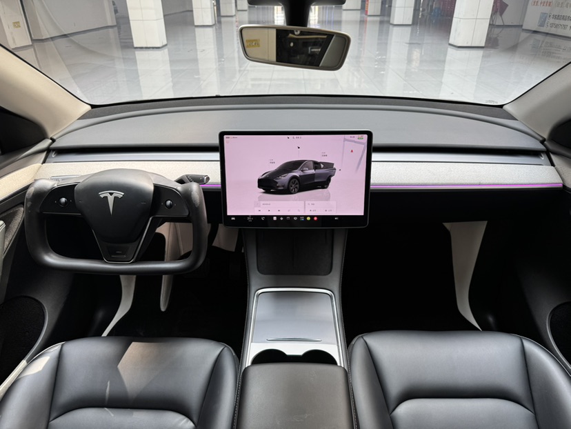 Tesla Model Y 2023 car image #14