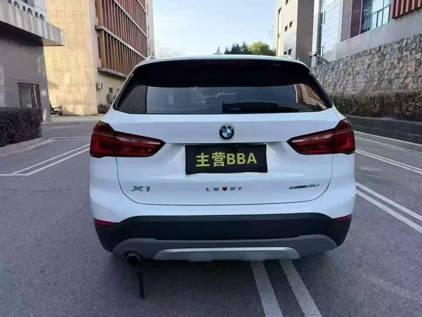 BMW X1 2019 car image #8