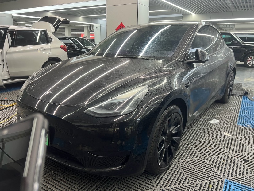 Tesla Model Y 2022 car image 