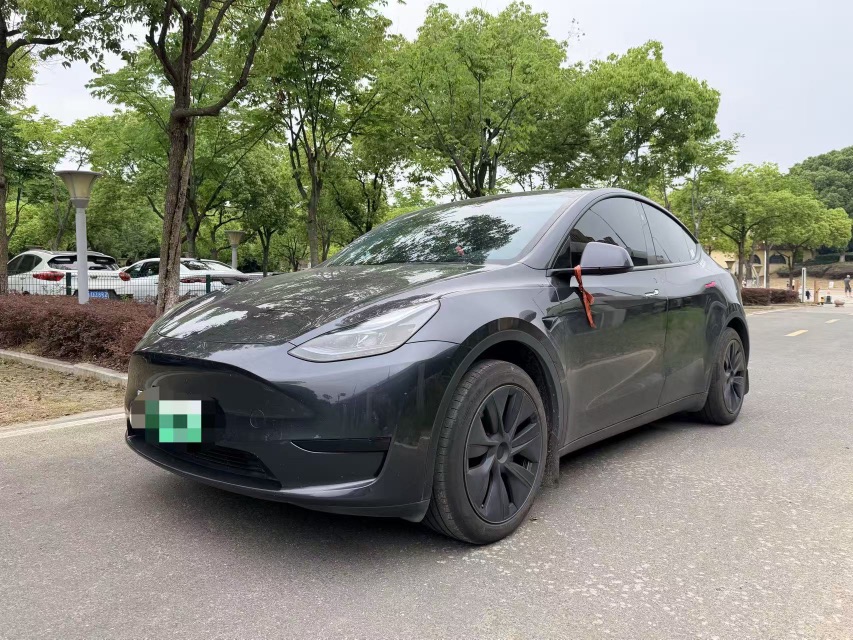 Tesla Model Y 2024 car image 