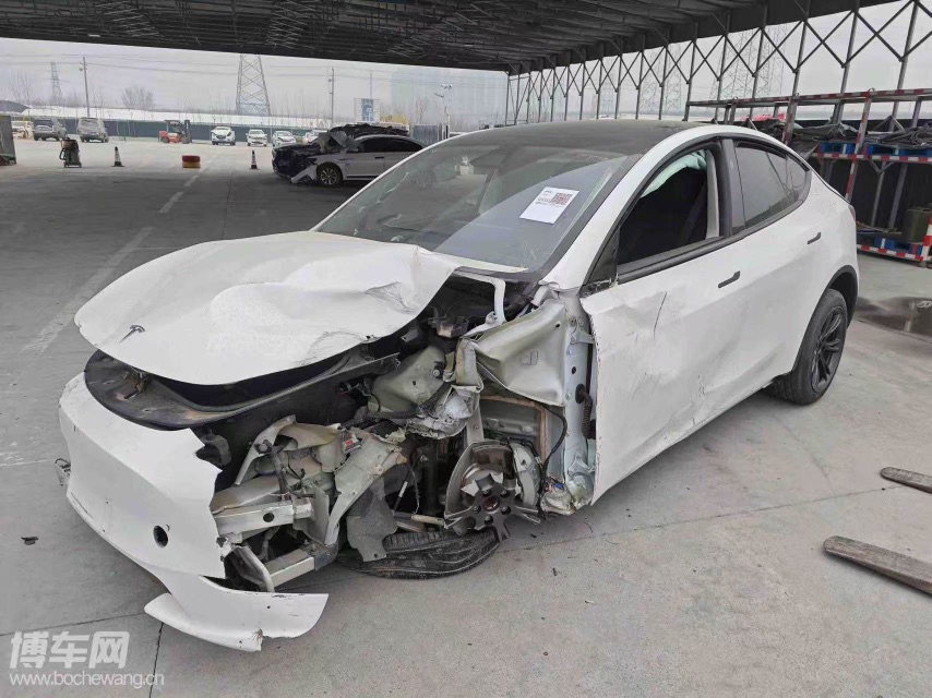 Tesla Model Y 2024 car image #11
