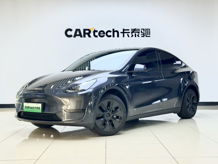 Tesla Model Y 2024 car image 