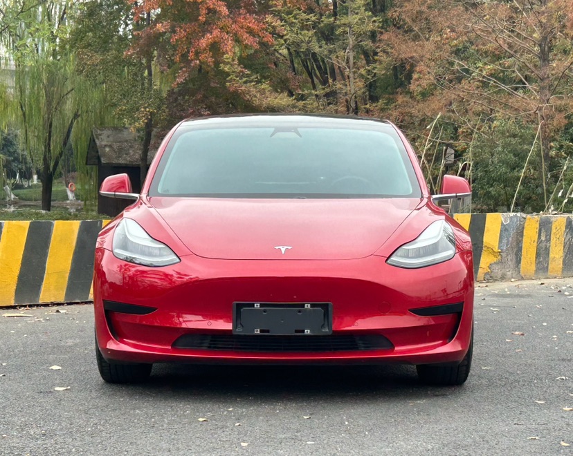 Tesla Model 3 2020 car image #2