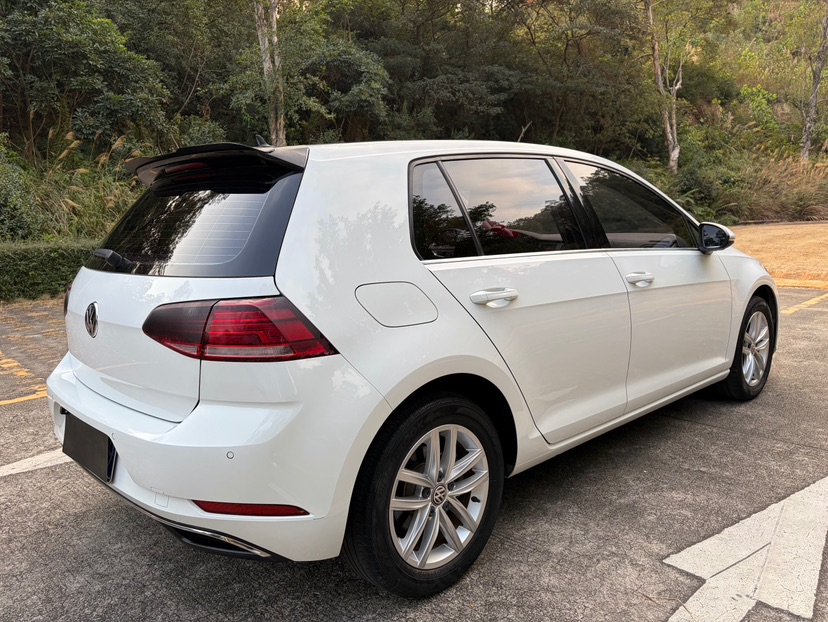 Volkswagen Golf 2019 car image #7