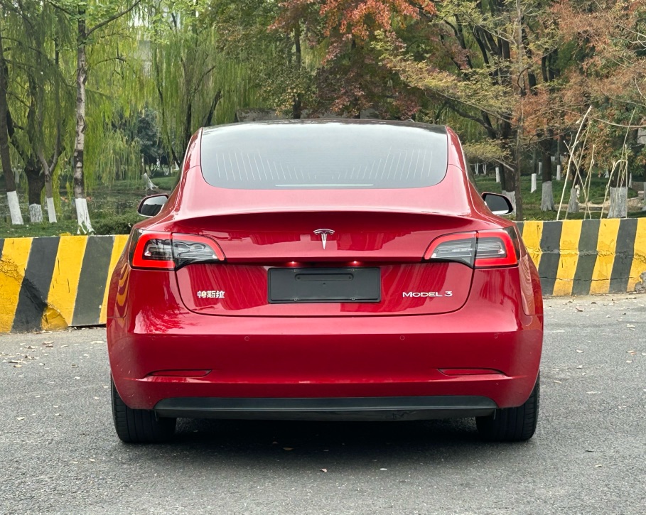 Tesla Model 3 2020 car image #4