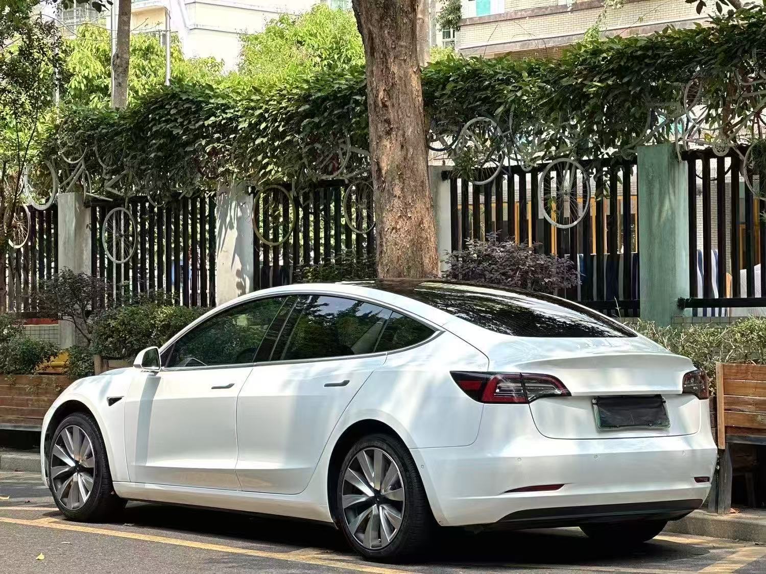 Tesla Model 3 (Imported) 2019 #3 Tesla Model 3 (Imported) 2019 car image #3