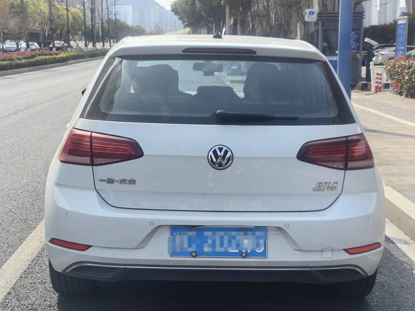 Volkswagen Golf 2019 #3 Volkswagen Golf 2019 car image #3