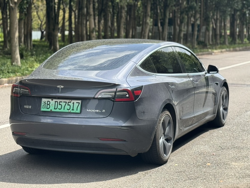 Tesla Model 3 2020 изображение автомобиля #7
