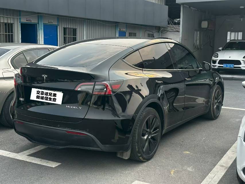 Tesla Model Y 2023 #8 Tesla Model Y 2023 car image #8